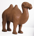 Ming-Camel5
